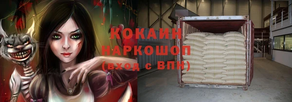 стафф Бородино
