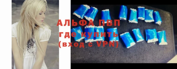 индика Бугульма