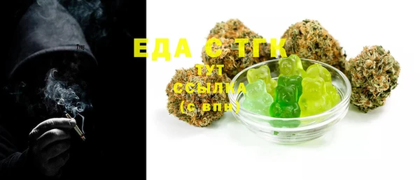 индика Бугульма