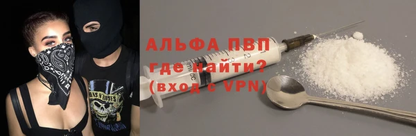 индика Бугульма
