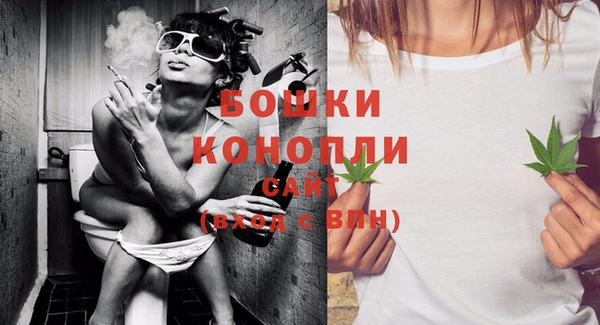 индика Бугульма