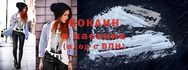 индика Бугульма
