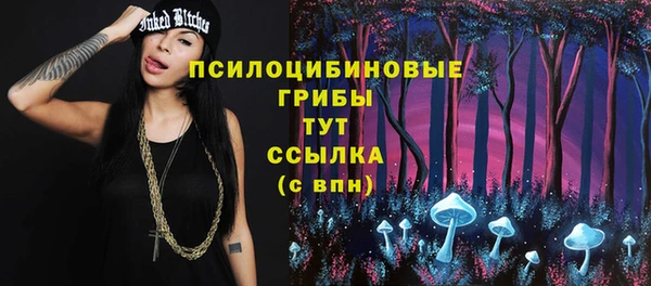 стафф Бородино