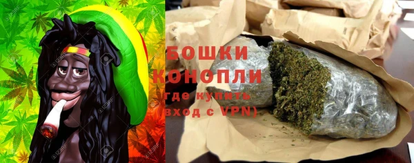 индика Бугульма