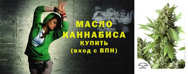 стафф Бородино