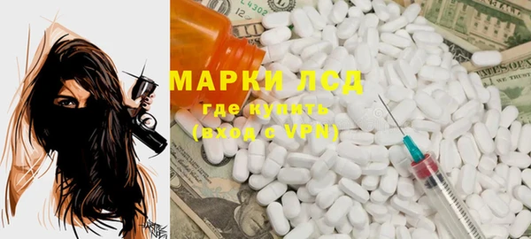 индика Бугульма