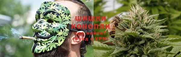 стафф Бородино