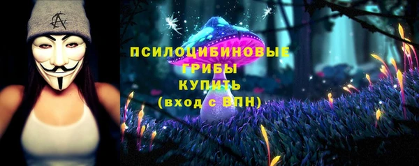 индика Бугульма