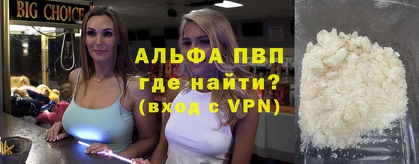 индика Бугульма
