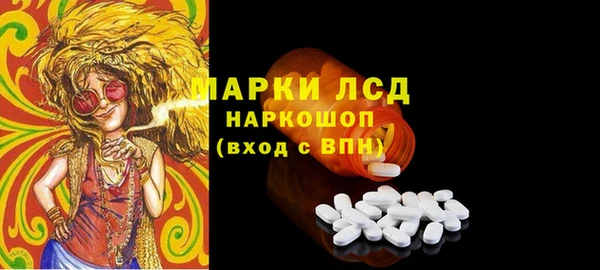 стафф Бородино