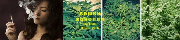 стафф Бородино