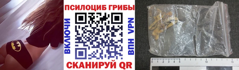 Галлюциногенные грибы Cubensis  Купить закладки  Гудермес 